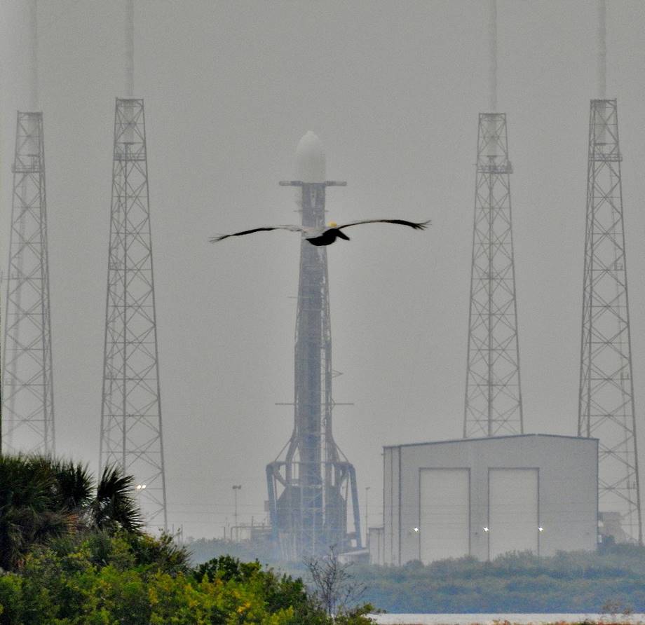 Falcon 9 Transporter-1 On Launch Pad 40, Photo Courtesy Liz Allen Spaceline

