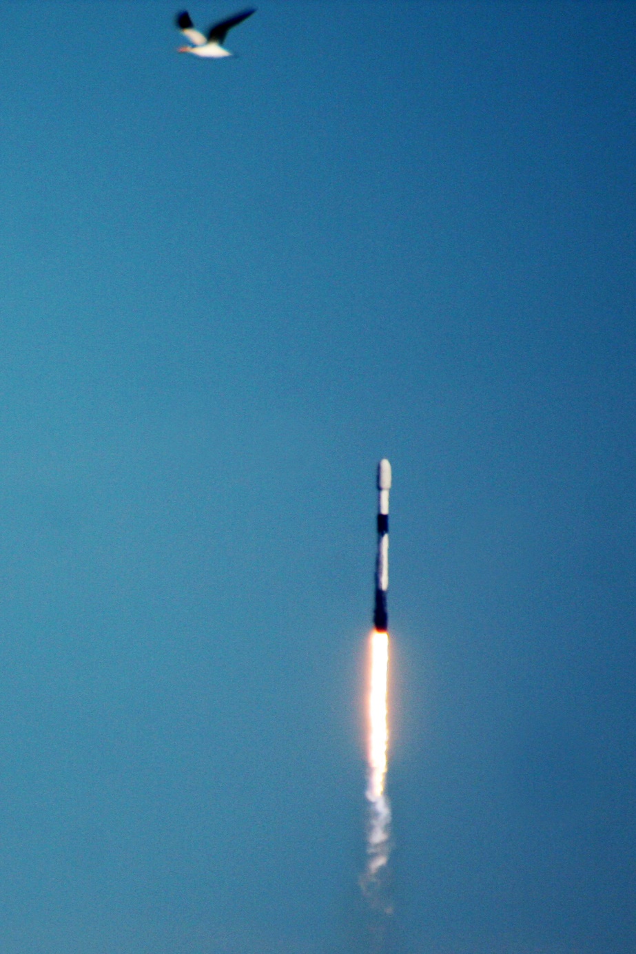 Falcon 9 Transporter-6 Launch, Photo Courtesy Carleton Bailie, Spaceline